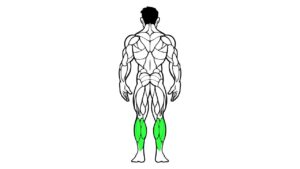 Gambe